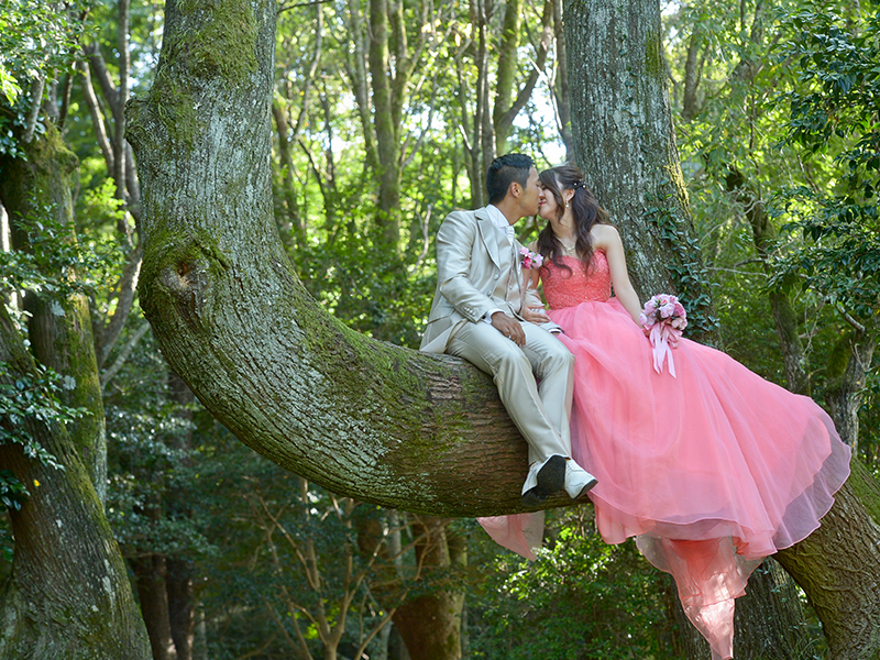 木に座って・・・