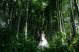 おまかせあれ！