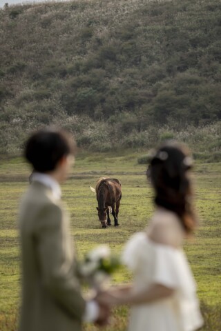 THE WEDDING TOWN KUMAMOTO_草千里