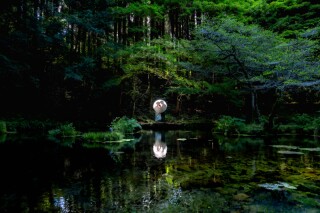 山奥にある水源で神秘的なショット