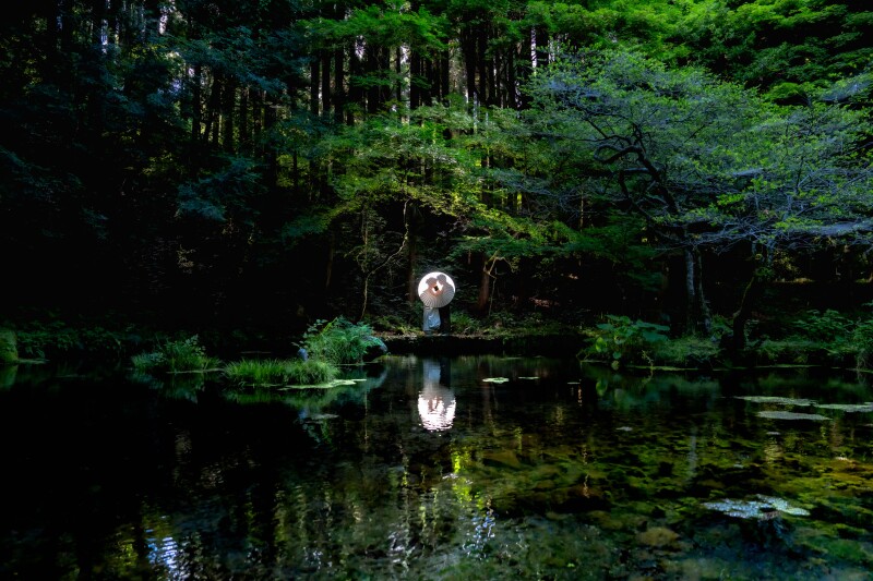 山奥にある水源で神秘的なショット