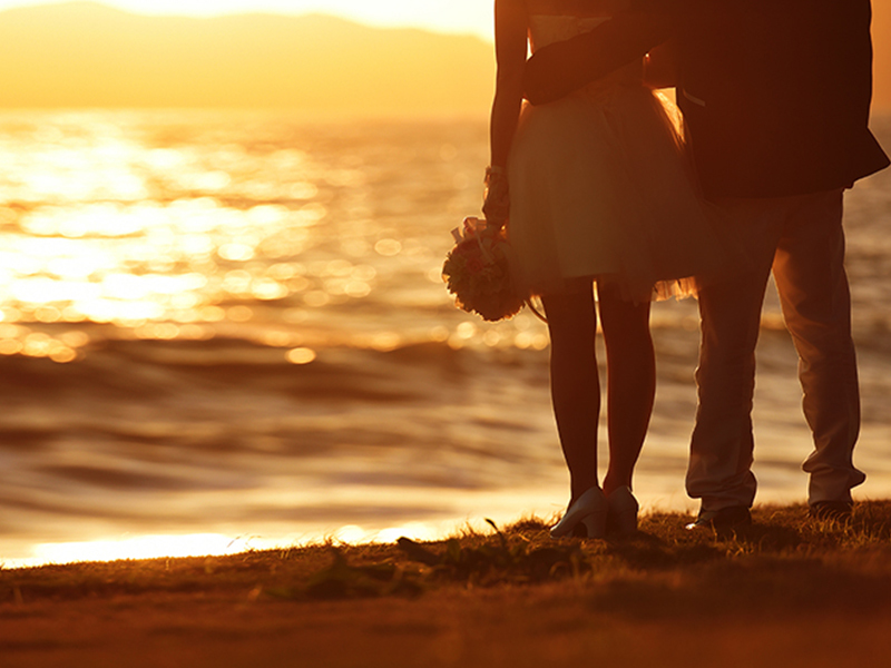 プレミアム25万プラン