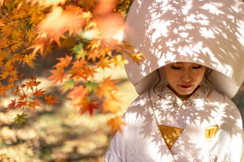 【数量限定プラン】ロケ行き放題+衣装着放題!220,000円→185,000円(35,000円OFF!更に選べる特典付き)