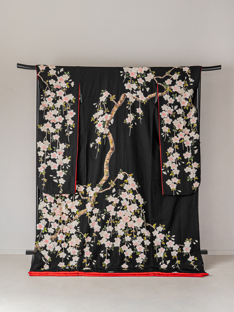 黒引き桜1