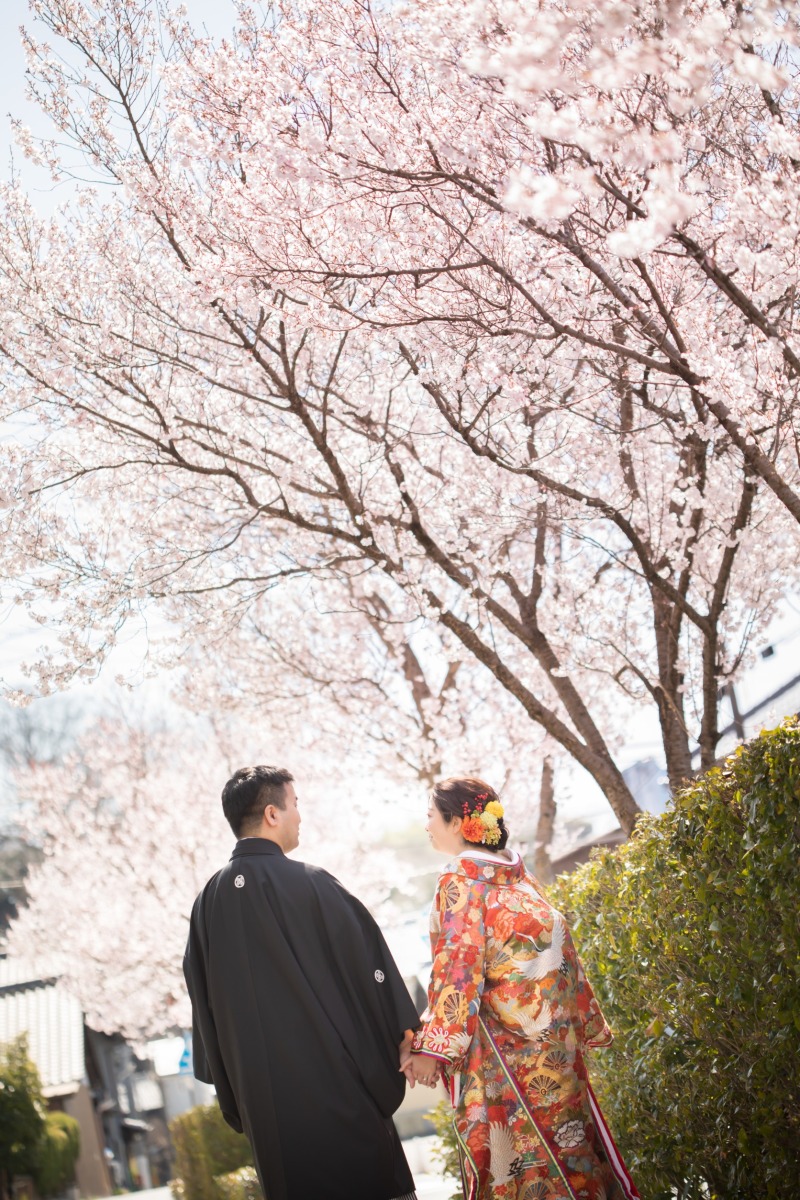【梅&桜フォトプラン】 和装1着+撮影データ50カット
