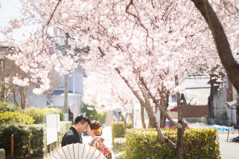 【梅&桜フォトプラン】 和装1着+撮影データ50カット