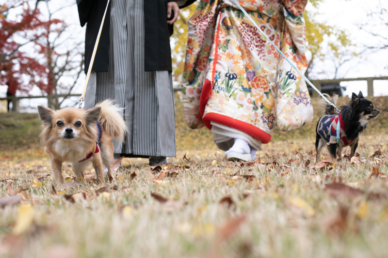 お二人のワンちゃんたちも参加！