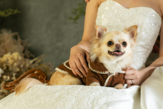 ワンちゃんと一緒に♪