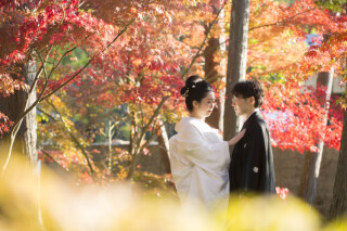 日本髪と白無垢