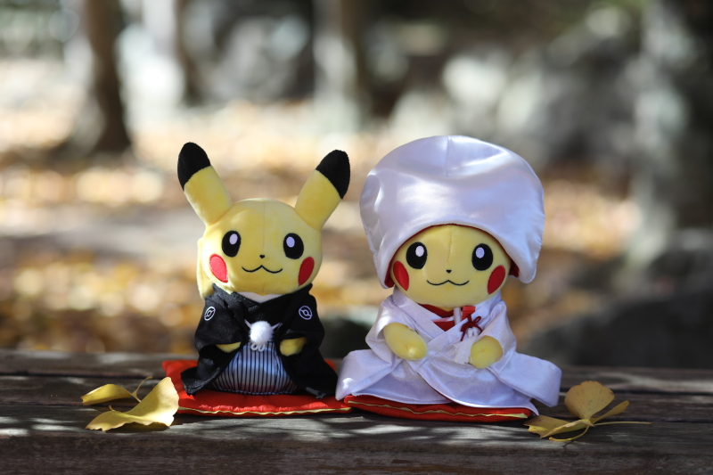 なんとピカチュウ！