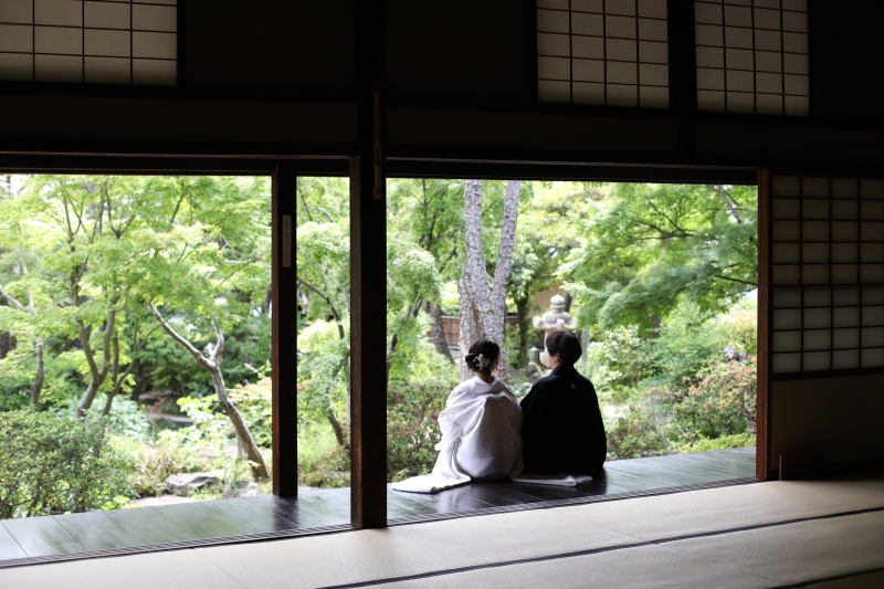 新緑の美観地区