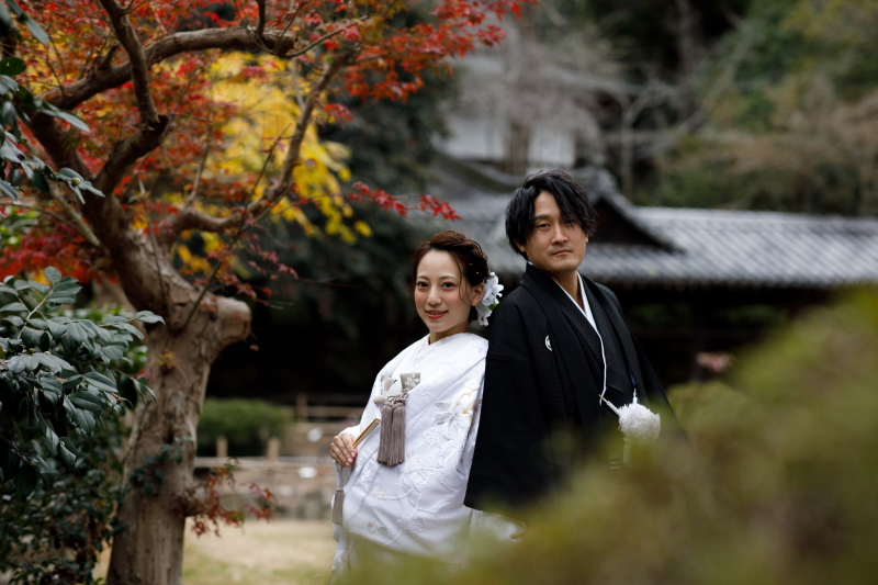 12月末でしたが…