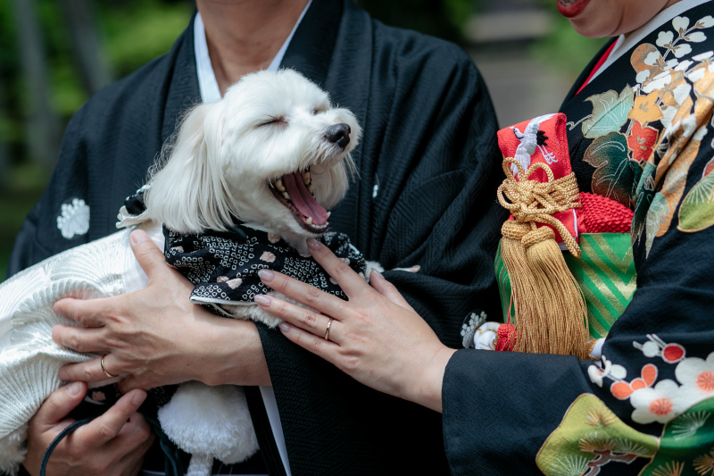 ワンちゃんと一緒にロケ♪