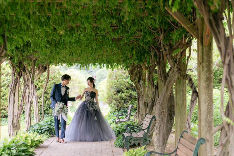 緑のトンネル♪