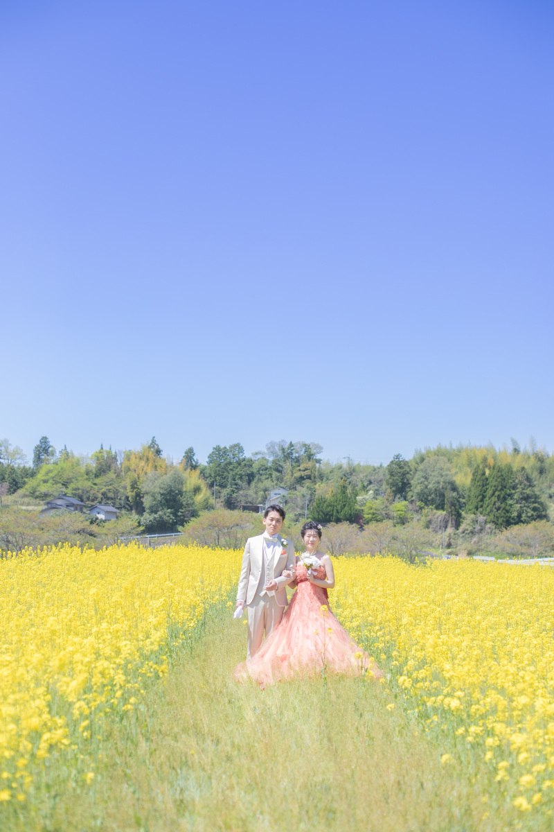 菜の花シンボルロードにて