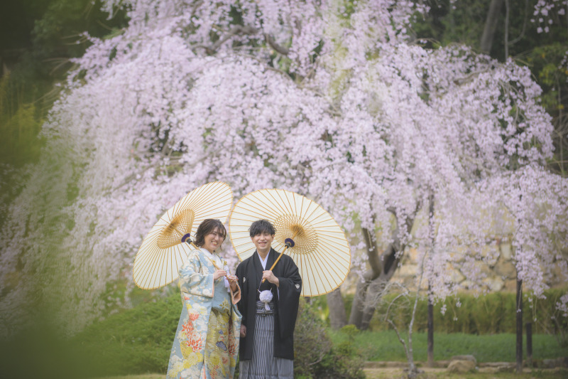 心配していた桜も・・・