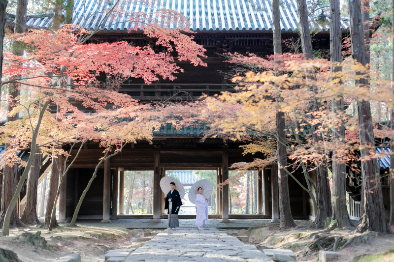 紅葉に包まれて