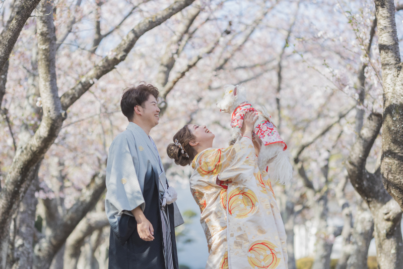 桜並木