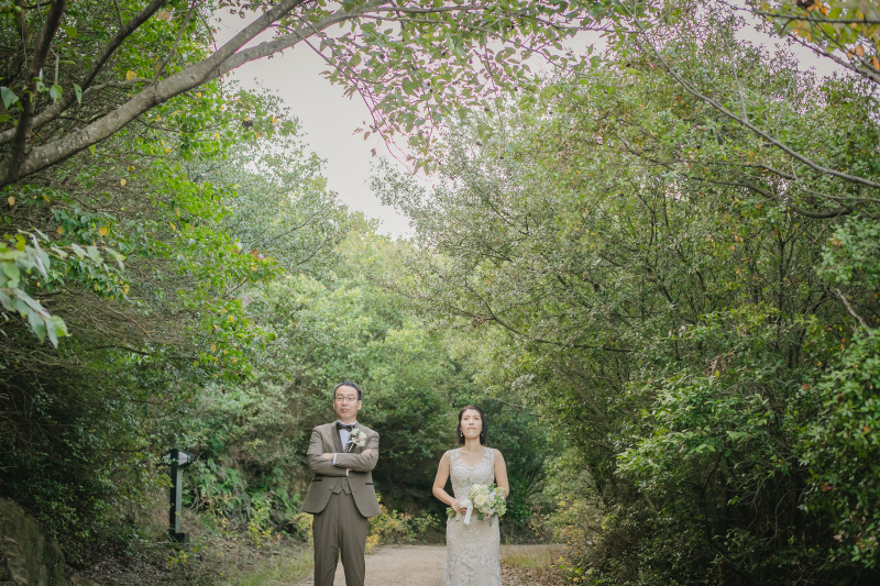 行きの道中では