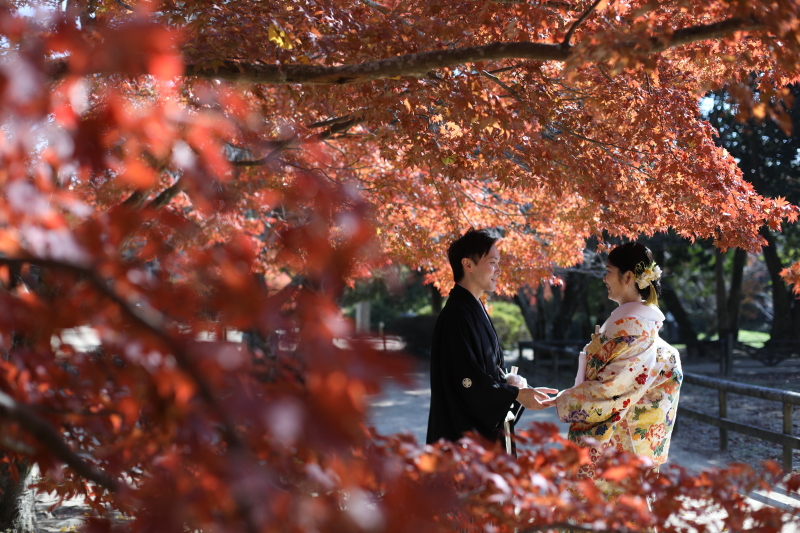 紅葉真っ最中♪