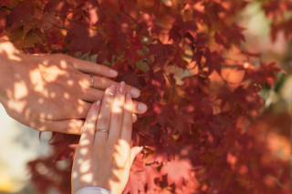 赤く色づくもみじと