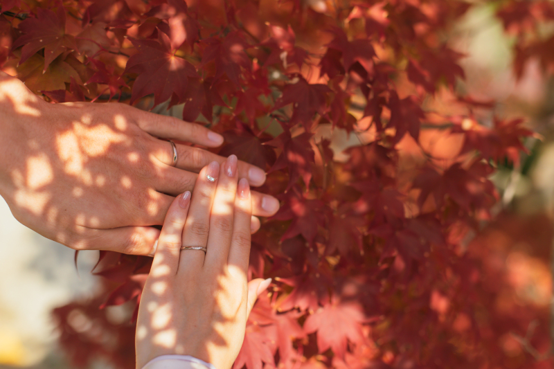 赤く色づくもみじと