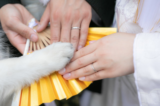 わんちゃんと一緒に