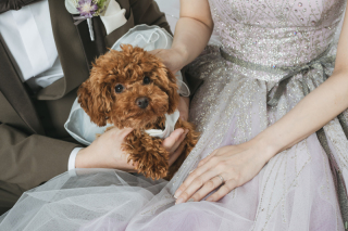 ドレス２点でスタジオ～チャペル♪