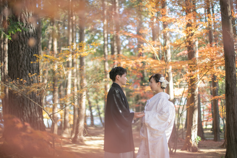 やわらかい光に包まれて