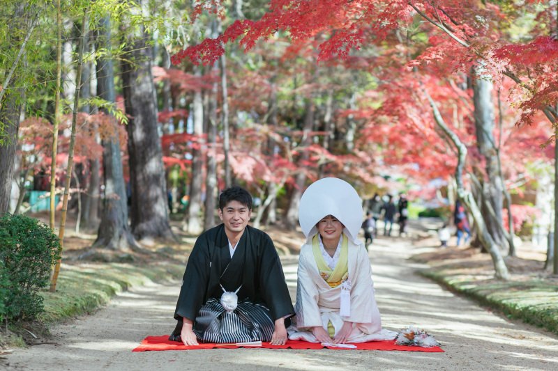 格式高いお写真も …