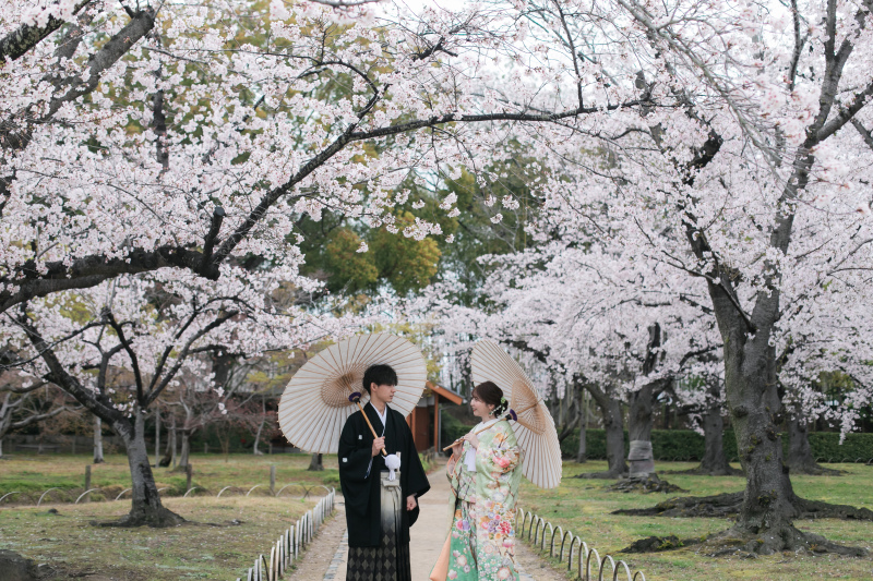 満開の桜