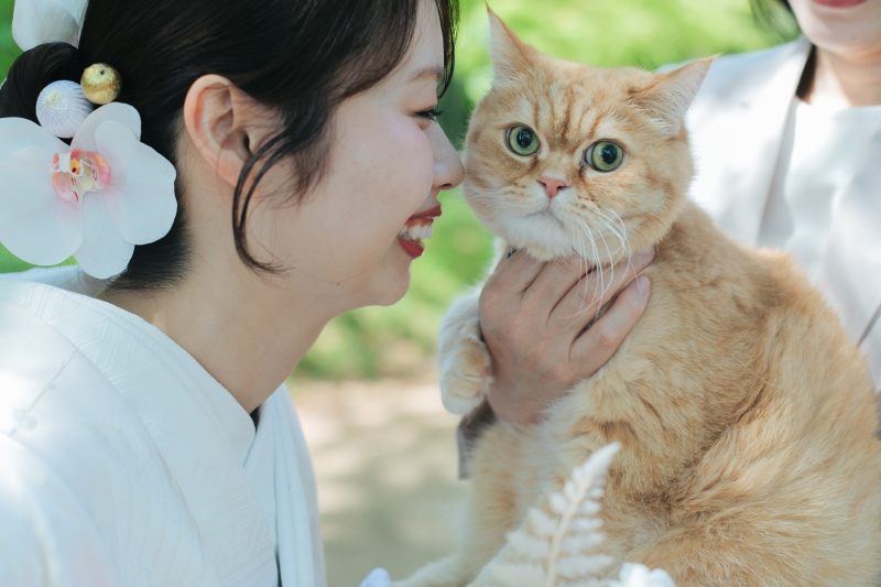愛猫♡