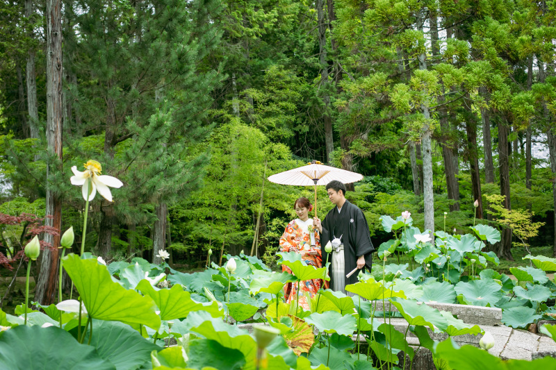曹源寺からスタート！