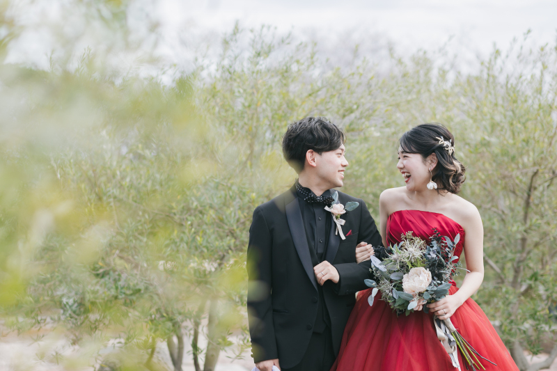 オリーブの緑に囲まれて