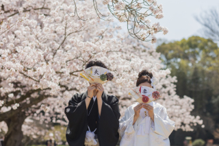 桜ロケのご予約はお早めに！