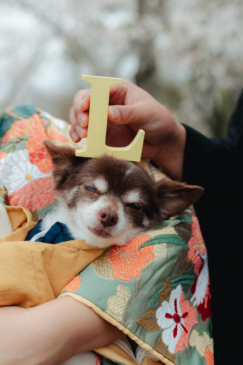 疲れた・・・？