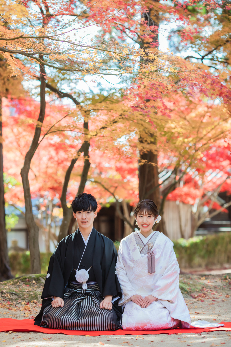 お座りショット