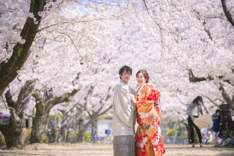 桜並木も満開でした♡