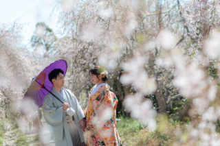 桜の時期はたけべの森公園へ♪