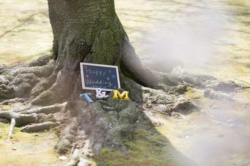 アルバムの表紙用に！