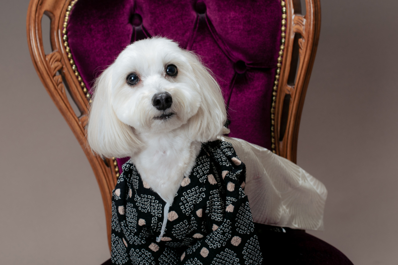 最後に可愛いワンショット♪