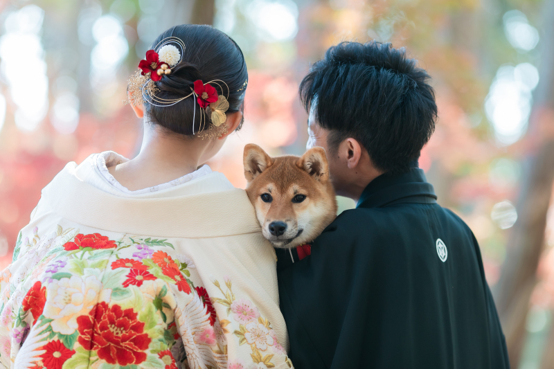 お衣装を着たまま抱っこ