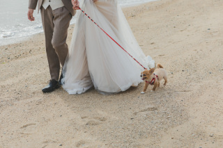 フォトスタジオRADIANCE 岡山本店_【サンプル】渋川・王子が岳