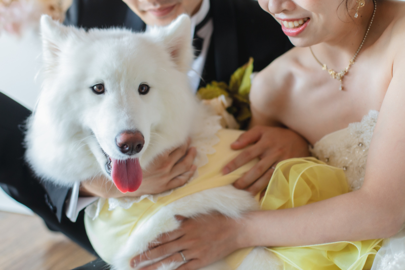 Point1 多彩な撮影シーン