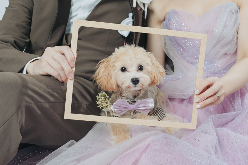 フォトスタジオRADIANCE 岡山本店_ペットと一緒に撮影できる