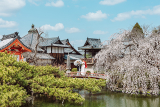 フォトスタジオRADIANCE 岡山本店_#桜シーズンロケーションフォト