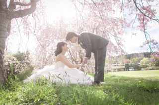 フォトスタジオRADIANCE 岡山本店_#桜シーズンロケーションフォト