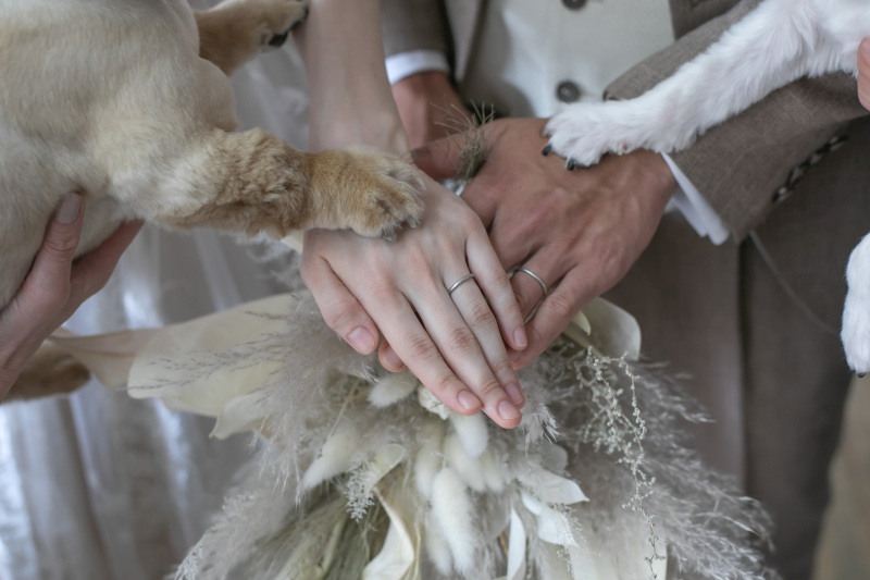 フォトスタジオRADIANCE 岡山本店_格安プランがある(3万円以下)