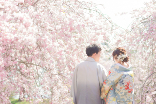 フォトスタジオRADIANCE 岡山本店_#桜シーズンロケーションフォト