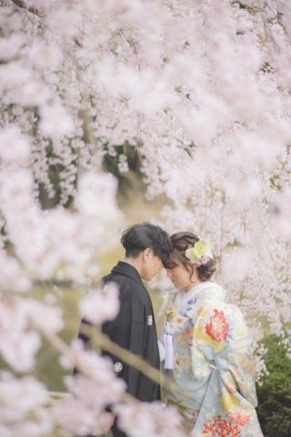 フォトスタジオRADIANCE 岡山本店_#桜シーズンロケーションフォト